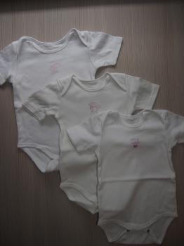 3x body