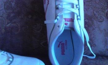 puma botasky