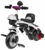 SporTrike Explorer Bike