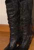 Talianske kone vel. 37